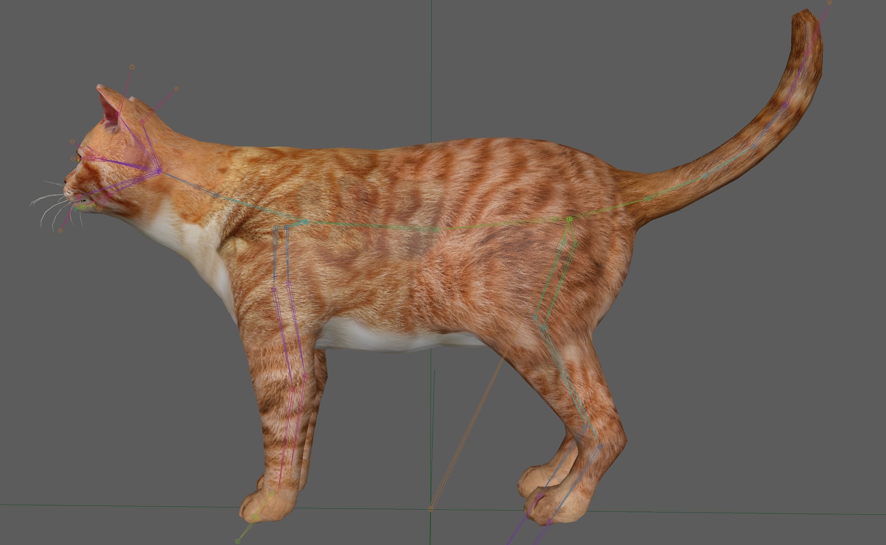 Orange Cat 3D model_22