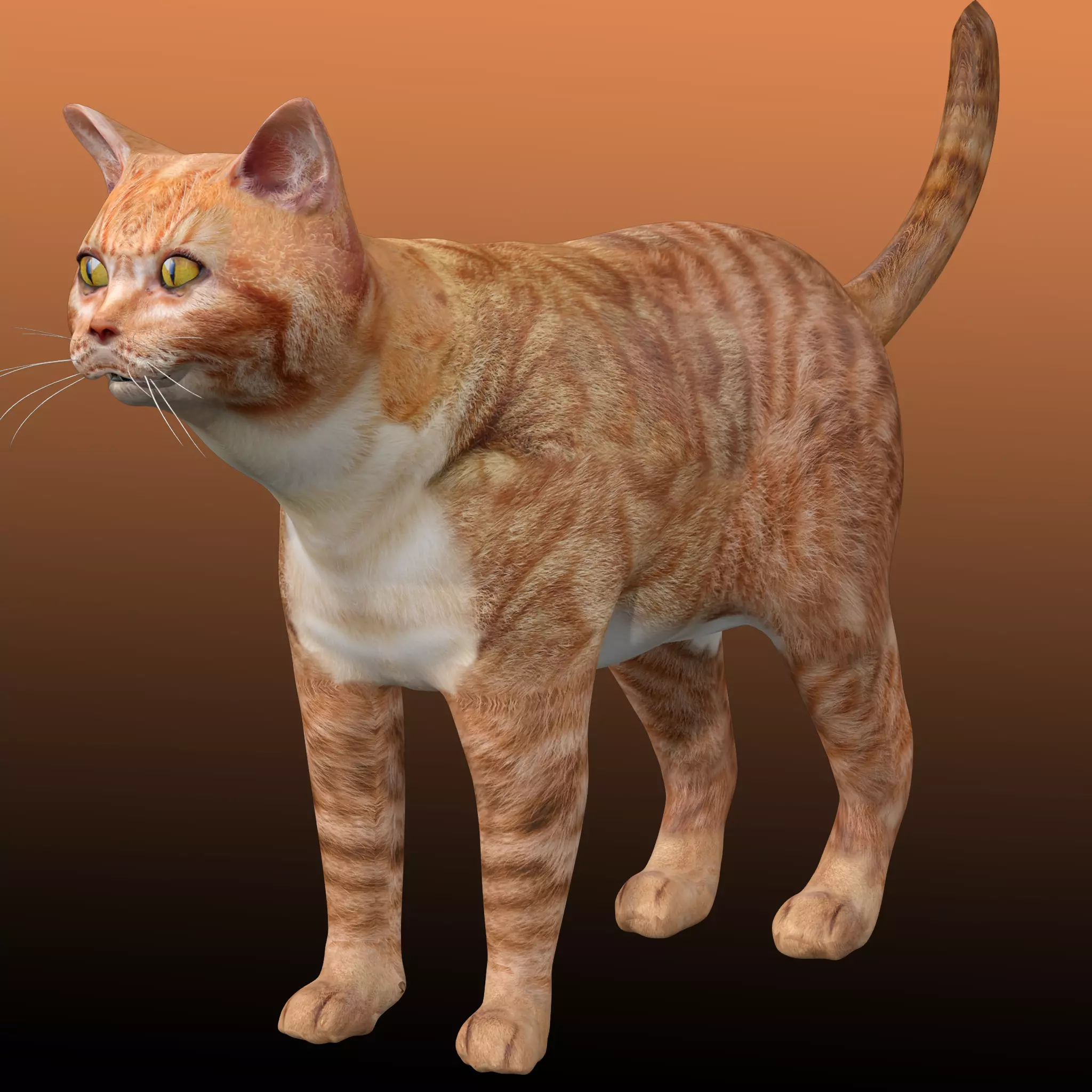 Orange Cat 3D model_0