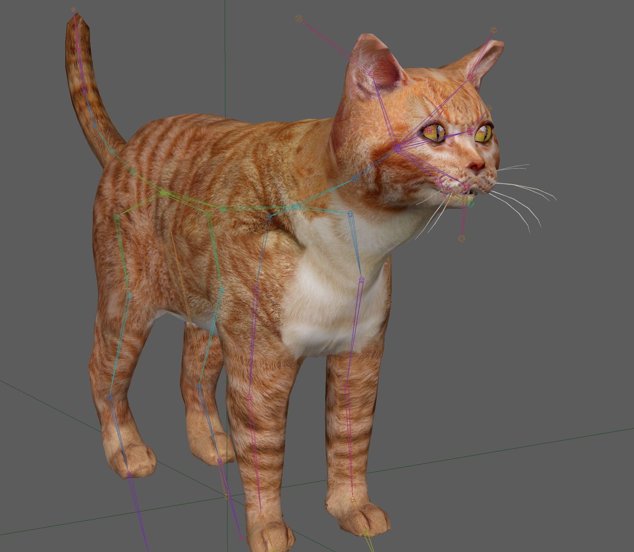 Orange Cat 3D model_16