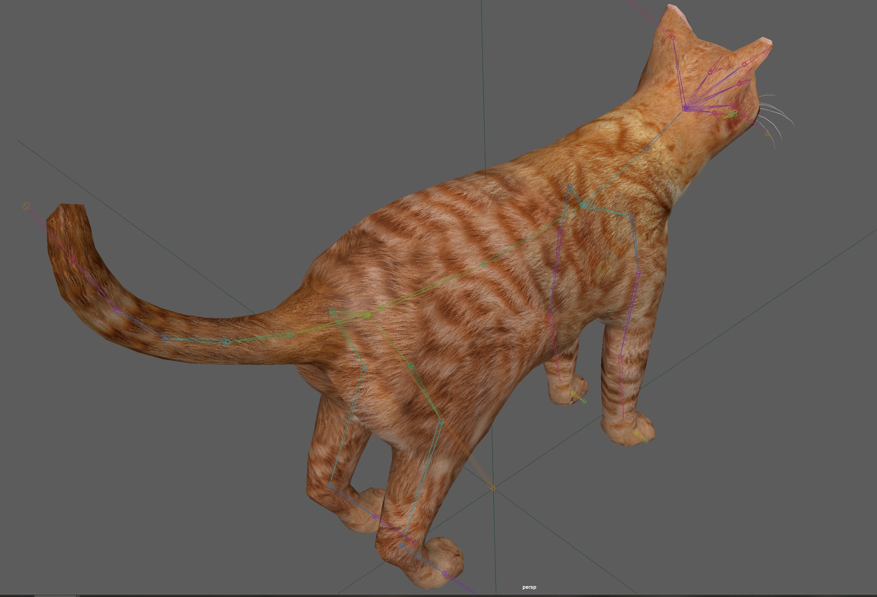 Orange Cat 3D model_18