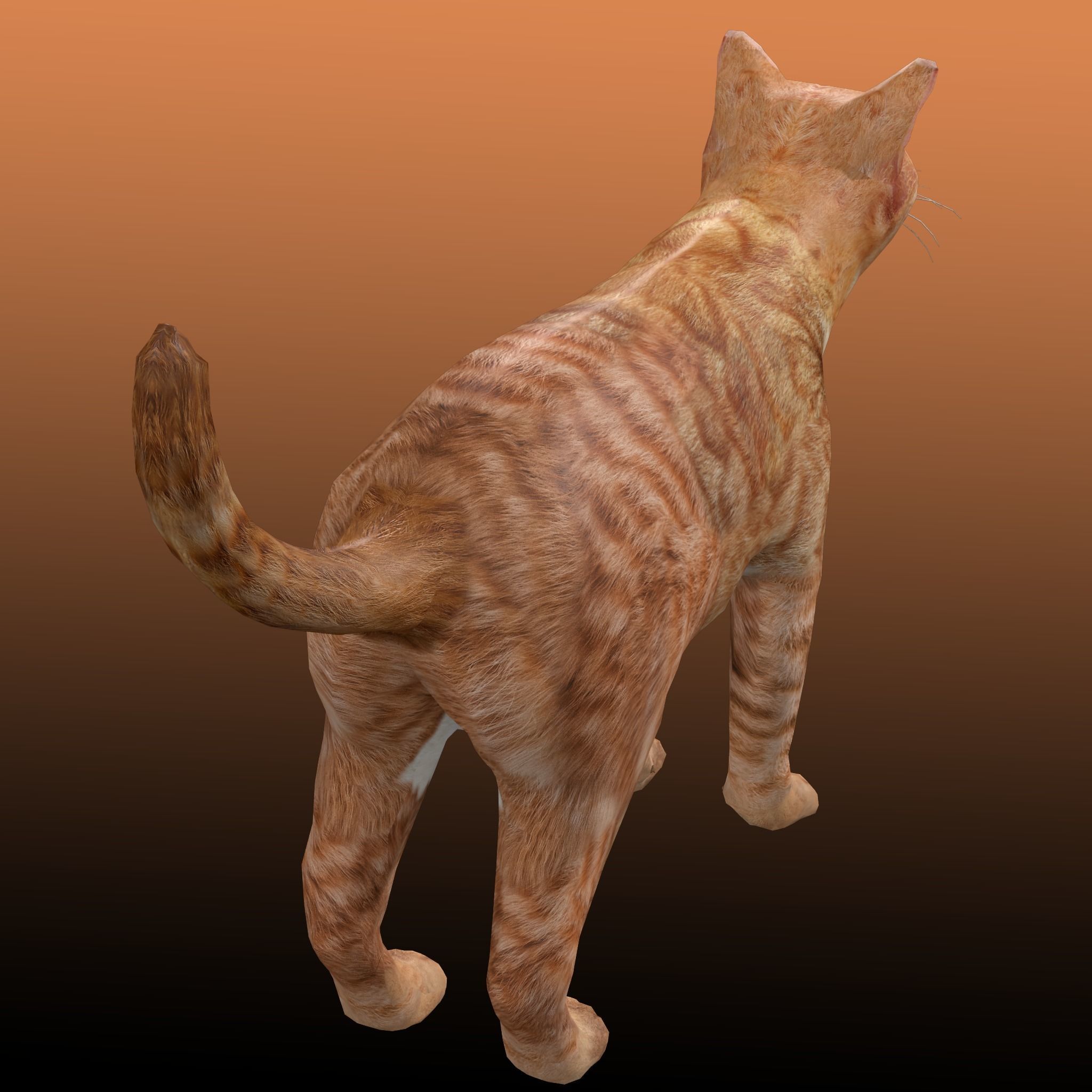 Orange Cat 3D model_4