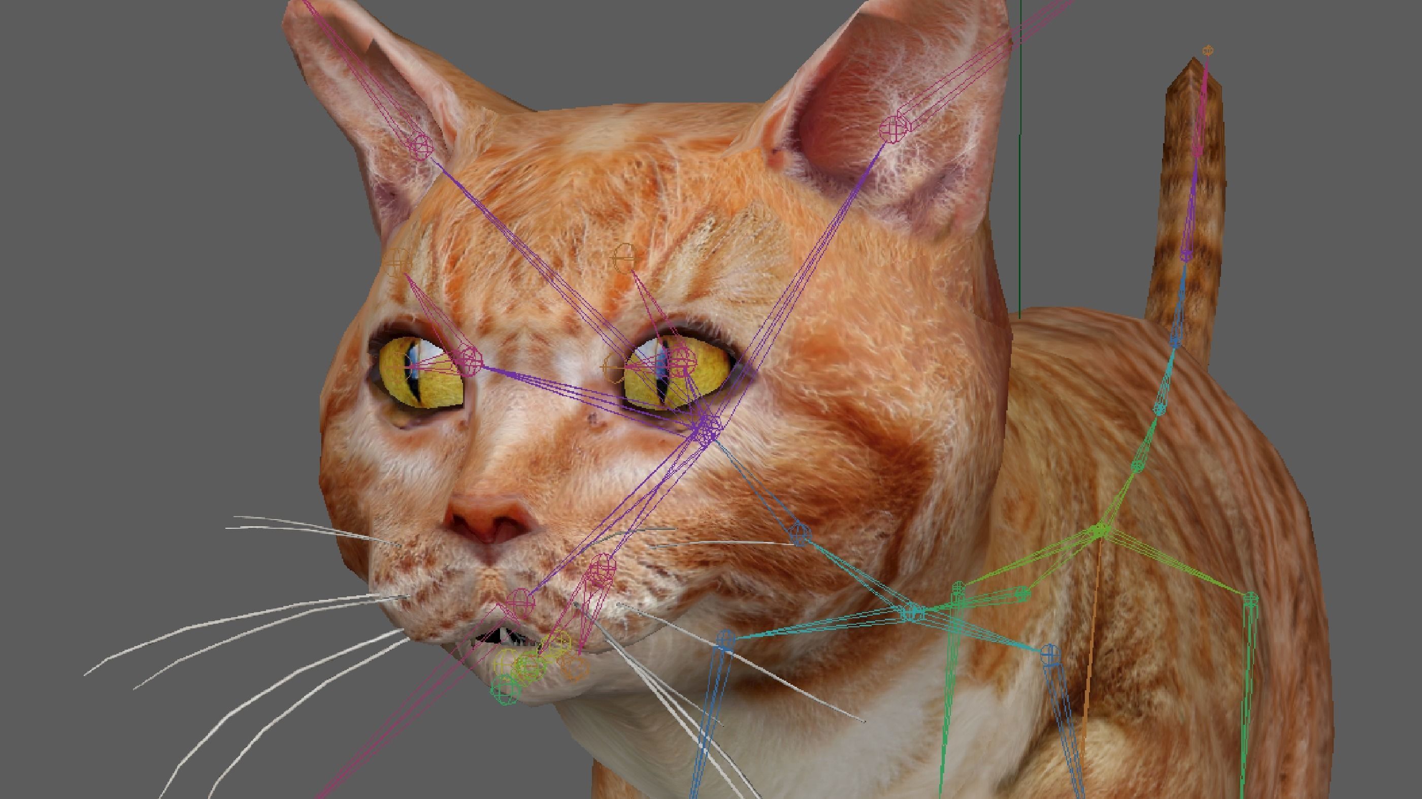 Orange Cat 3D model_10
