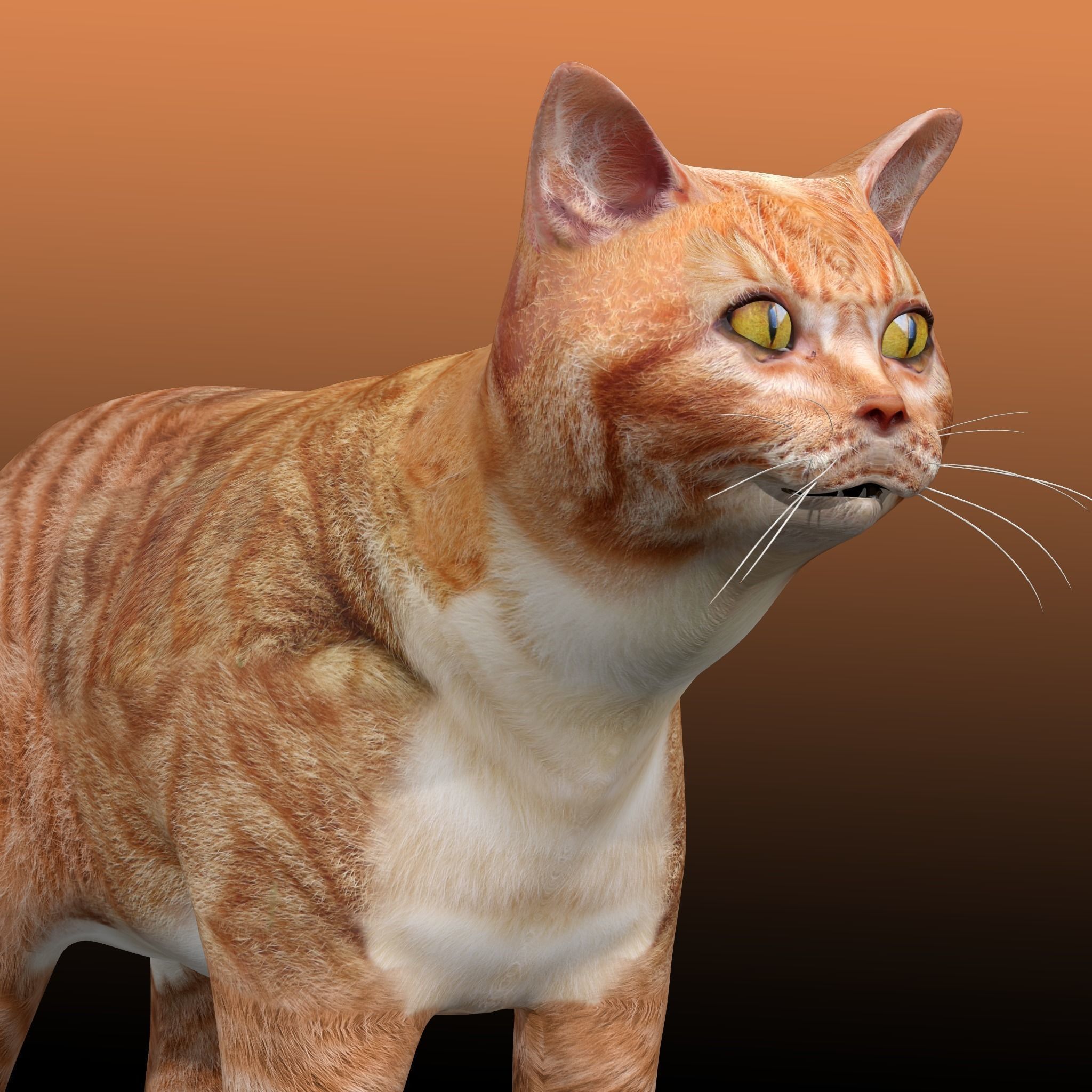 Orange Cat 3D model_2
