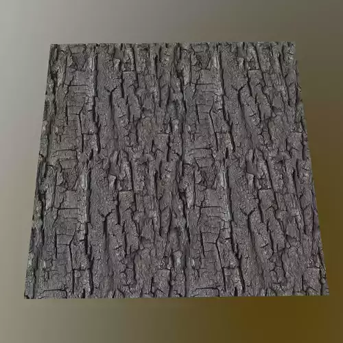 Tree Bark