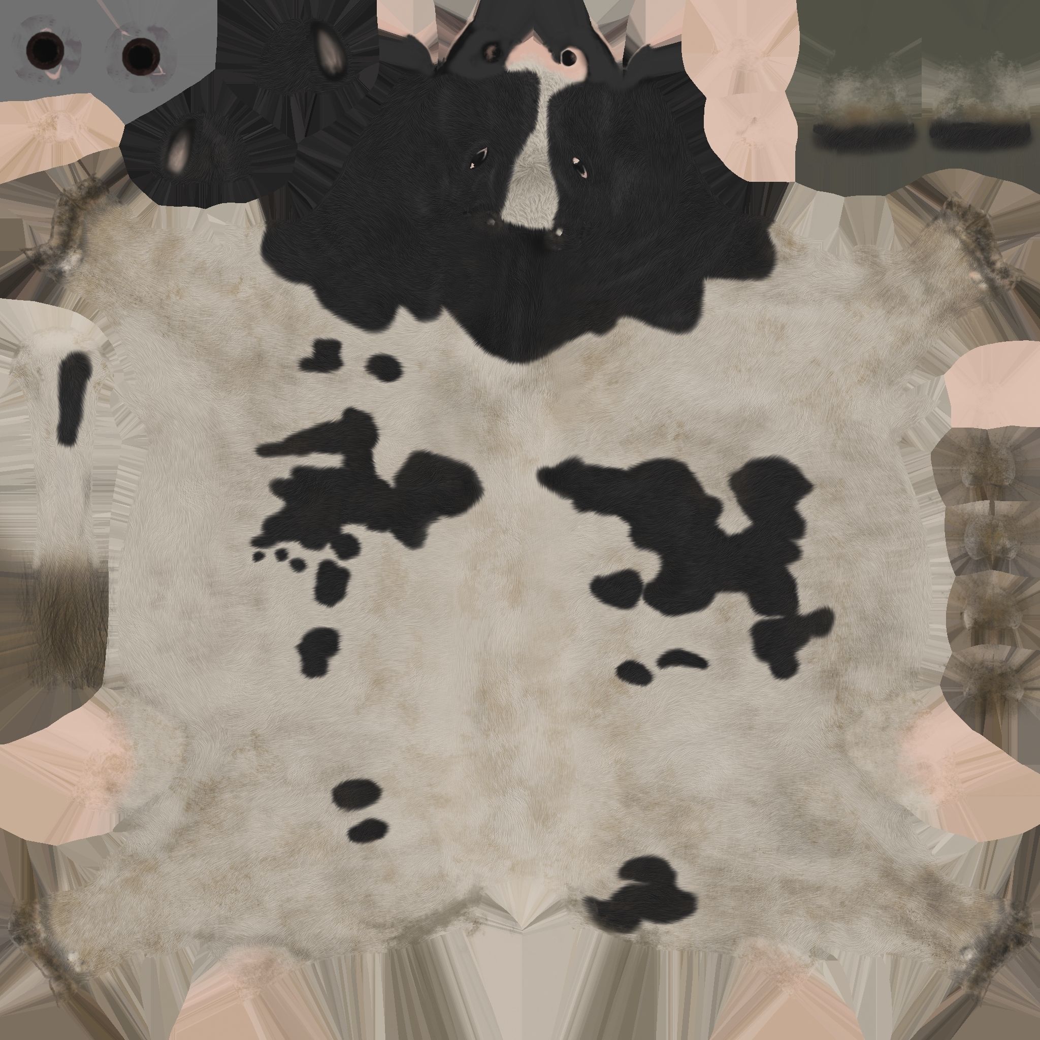 cow 3d model with realistic texture Low-poly 3D model_20