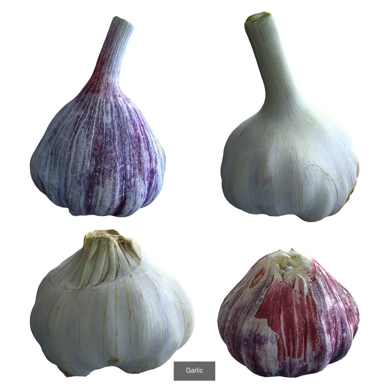 Vegetable Collection _6