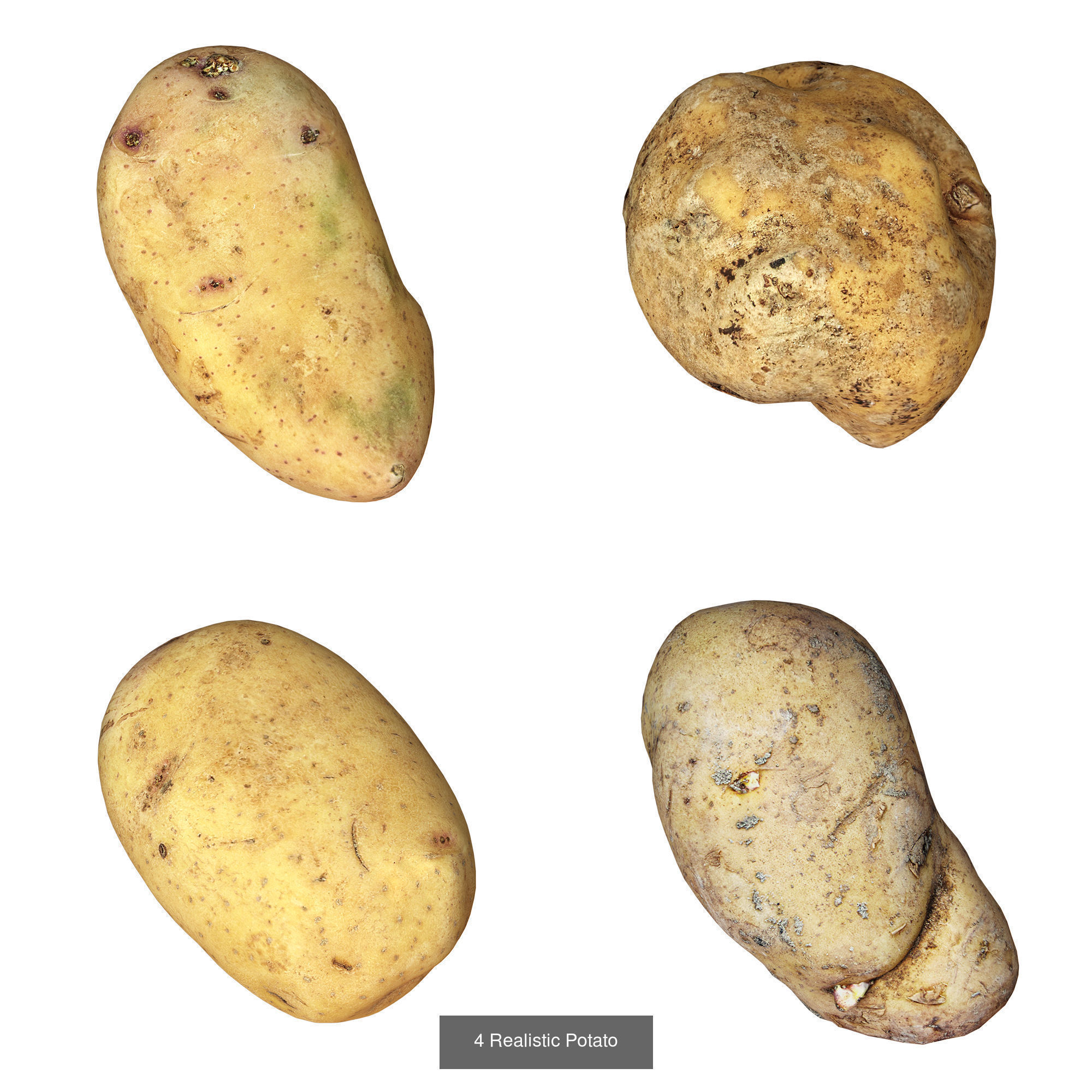 Vegetable Collection _4