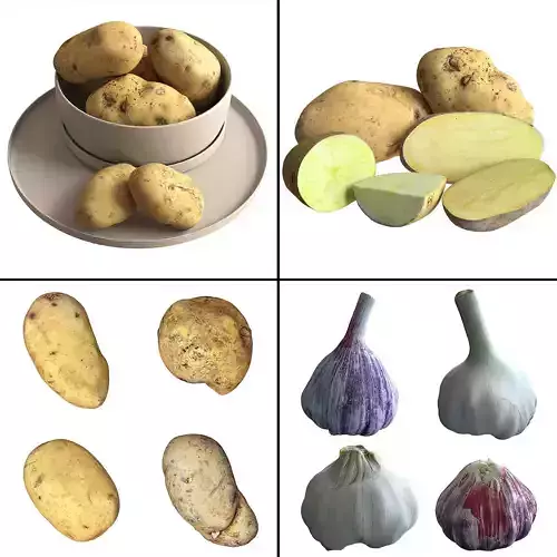 Vegetable Collection 