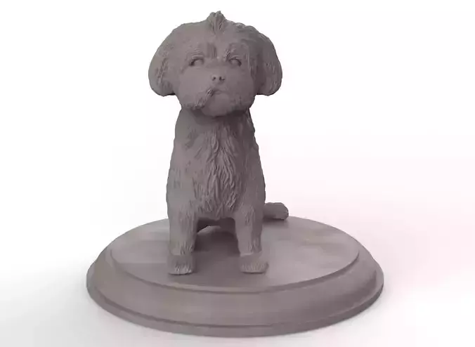 Shih Tzu 3D Figure 3D print model