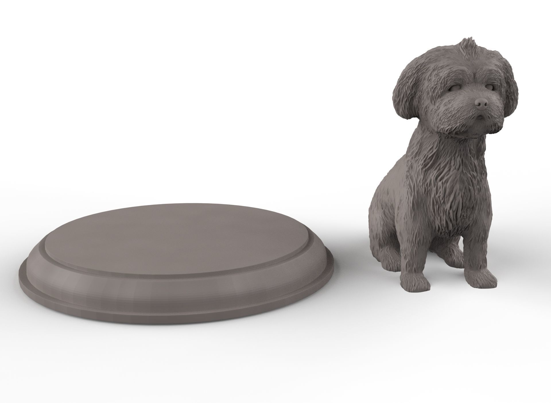 Shih Tzu 3D Figure 3D print model_4