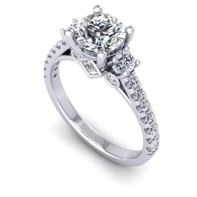 3D CAD NJ-1208-Ring 3D print model