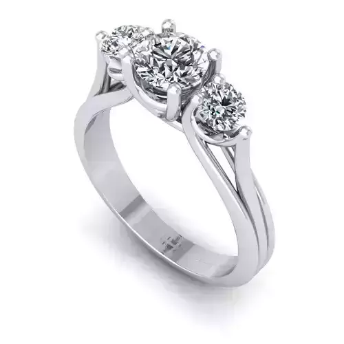 3D CAD NJ-1205-Ring 3D print model