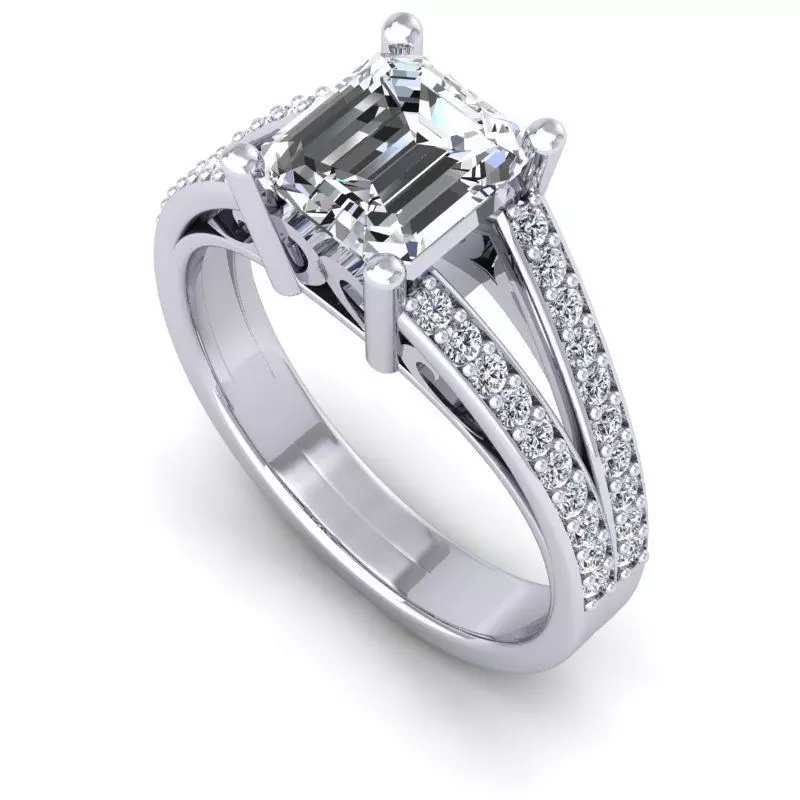3D CAD NJ-1238-Ring 3D print model_0