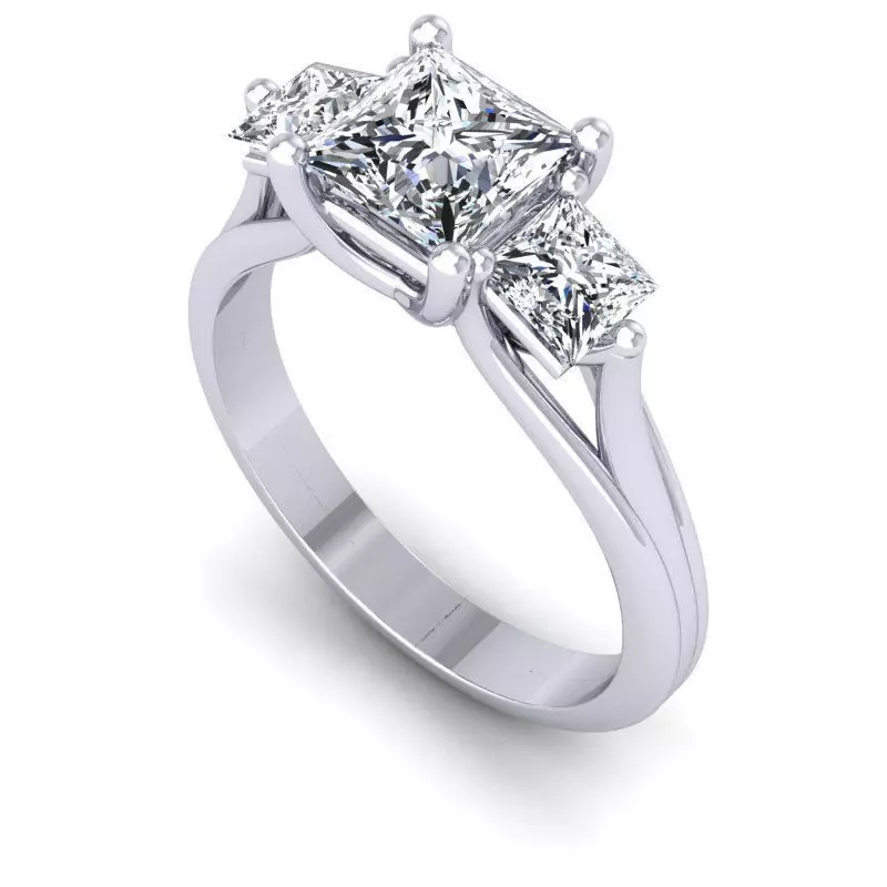 3D CAD NJ-1204-Ring 3D print model_0