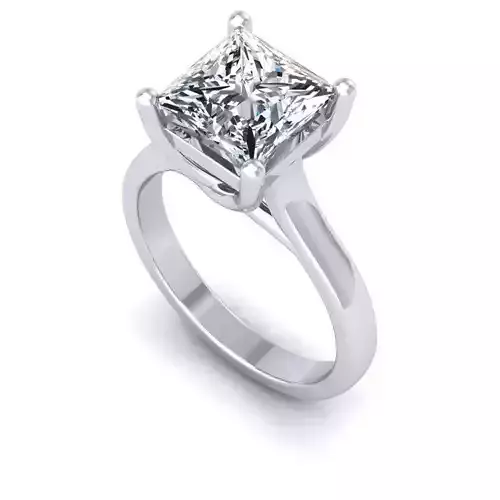 3D CAD NJ-1203-Ring 3D print model