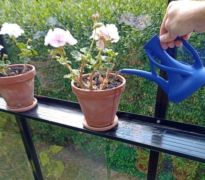 Art nouveau waterer  3D print model_1