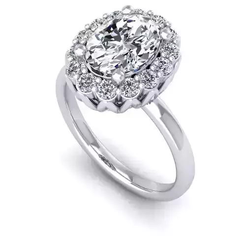 3D CAD NJ-1362-Ring