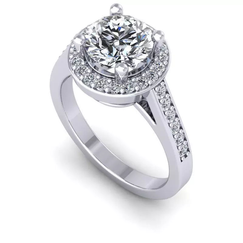 3D CAD NJ-1351-Ring 3D print model