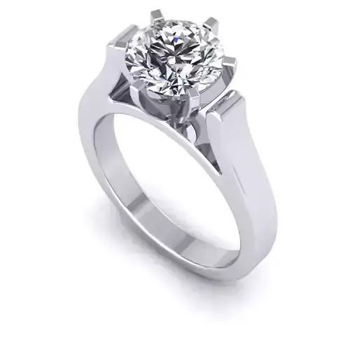 3D CAD NJ-1341-RIng
