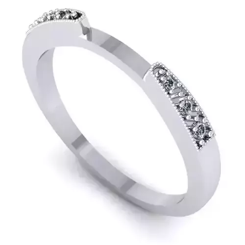 3D CAD NJ-1329-Ring