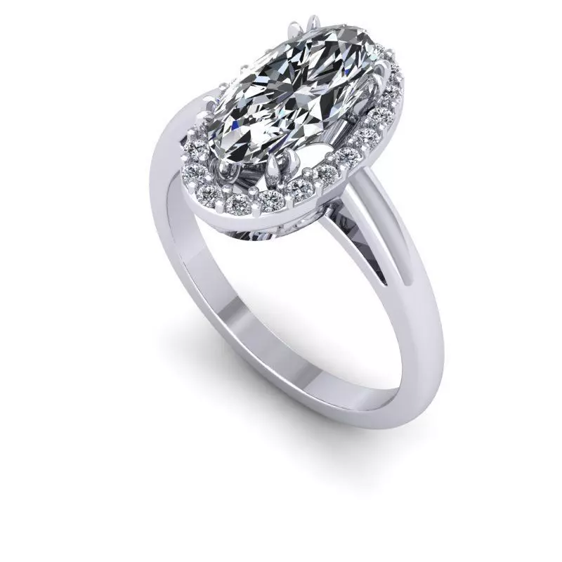 3D CAD NJ-1469-Ring 3D print model