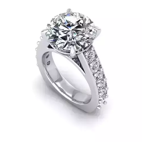 3D CAD NJ-1420-Ring