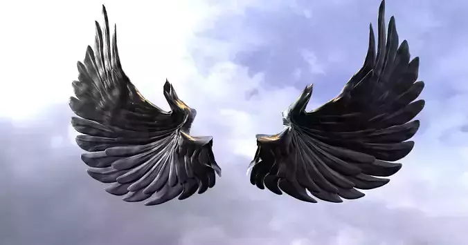 Black Knight Wings