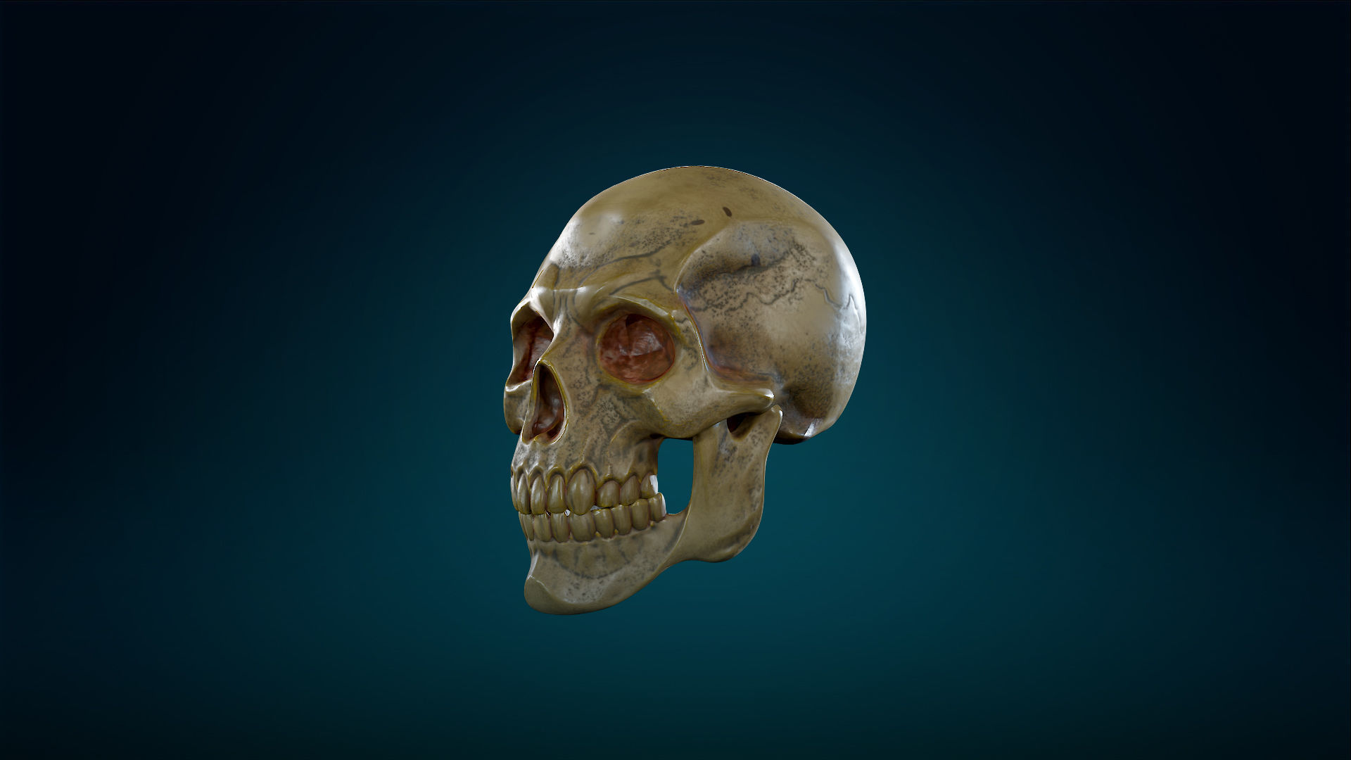 Human Skeleton Skull - Yellow - Lowpoly - Game Ready Low-poly 3D model_18