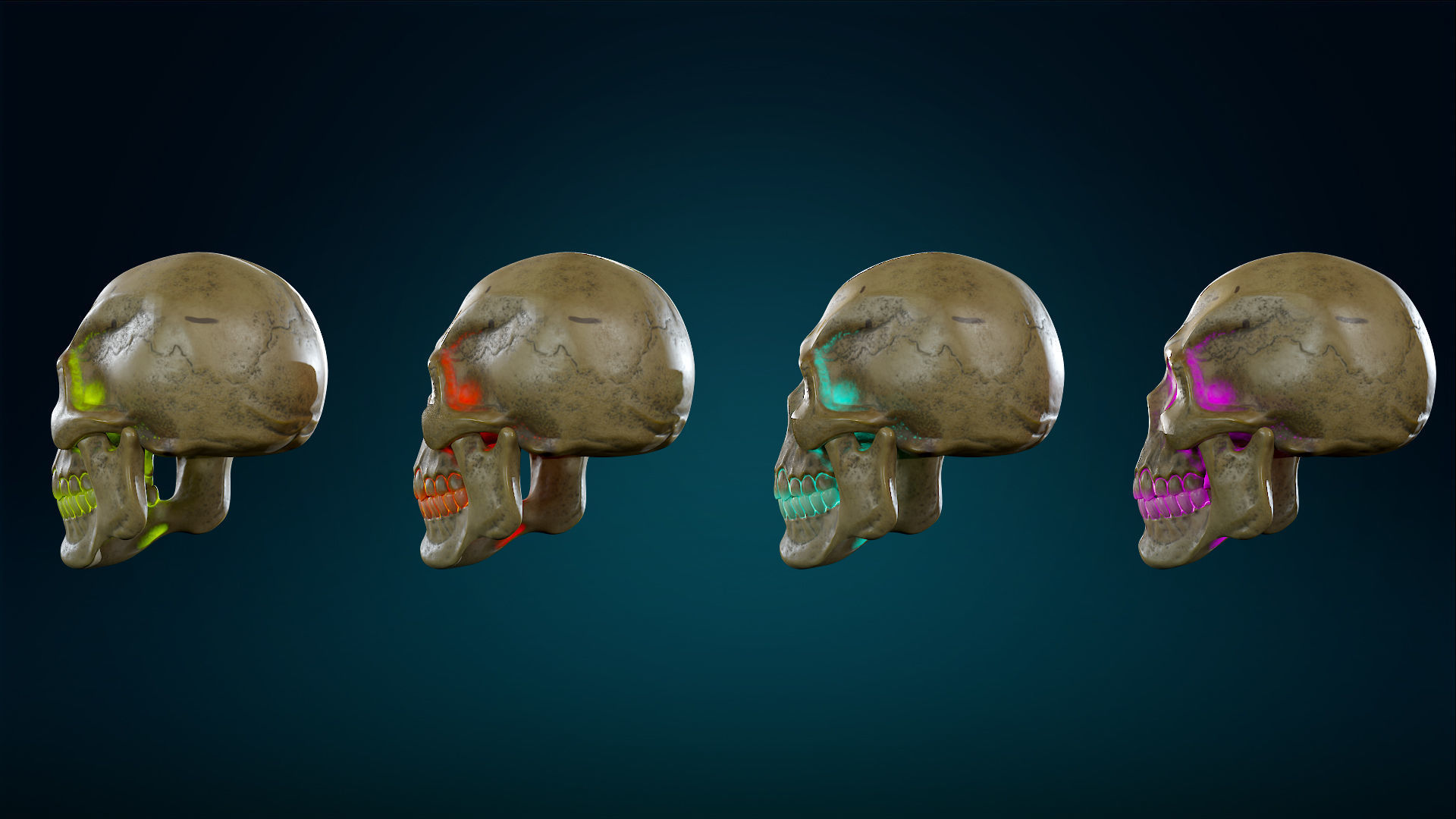 Human Skeleton Skull - Yellow - Lowpoly - Game Ready Low-poly 3D model_25
