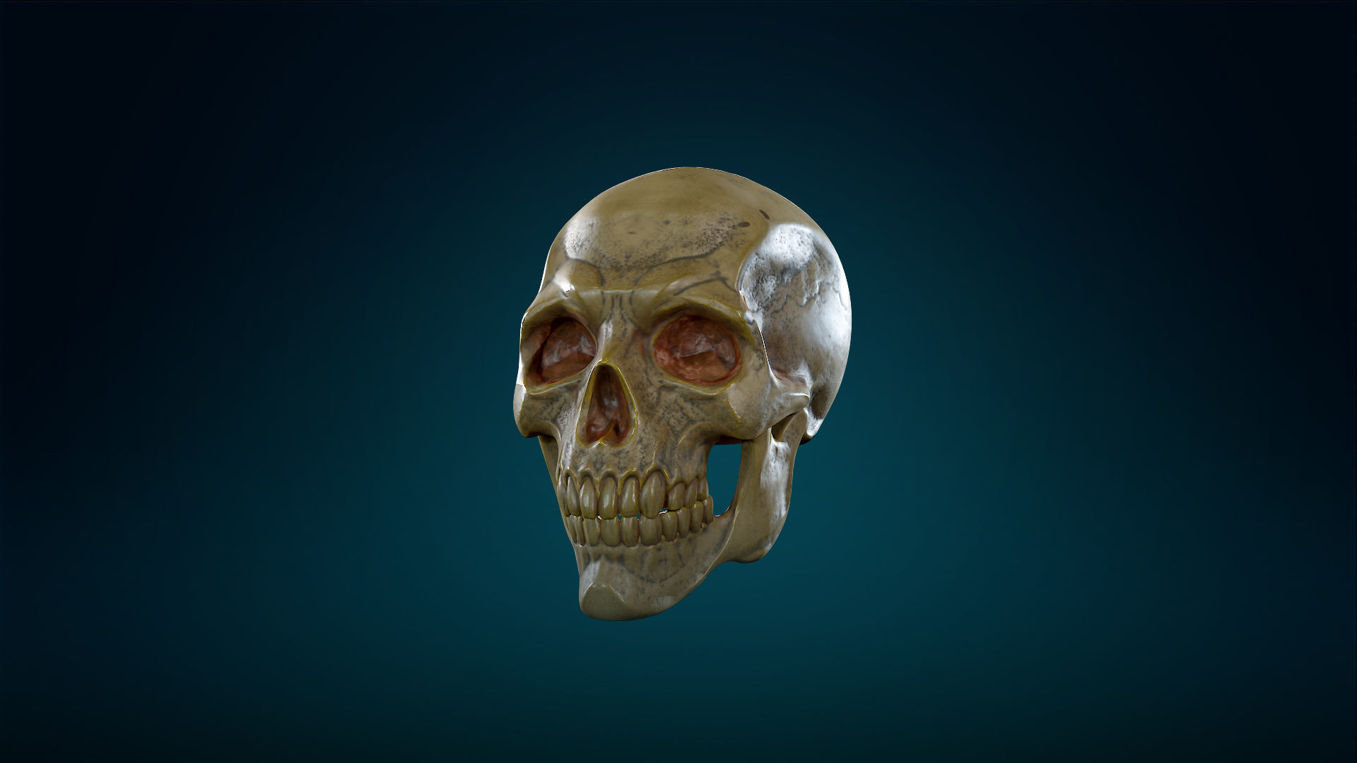 Human Skeleton Skull - Yellow - Lowpoly - Game Ready Low-poly 3D model_19