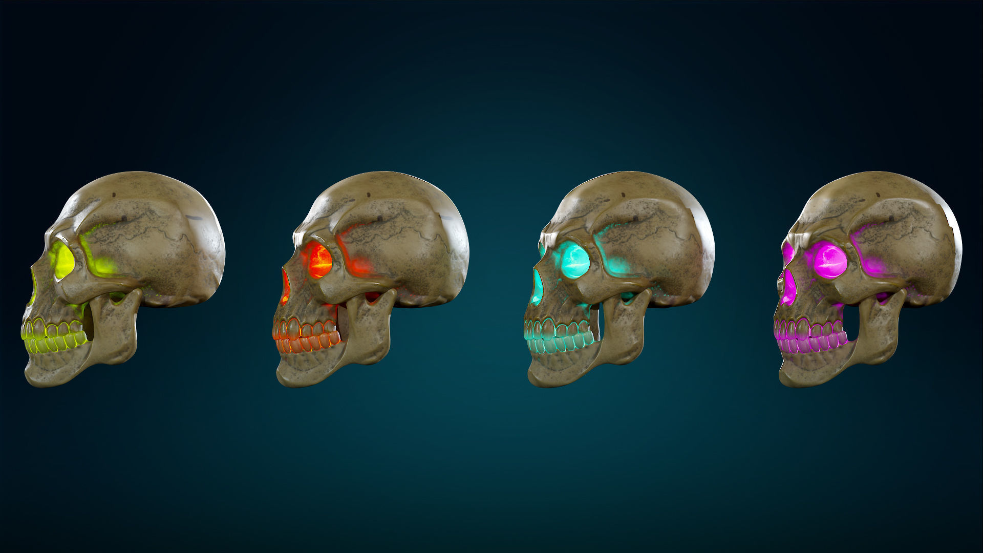 Human Skeleton Skull - Yellow - Lowpoly - Game Ready Low-poly 3D model_26