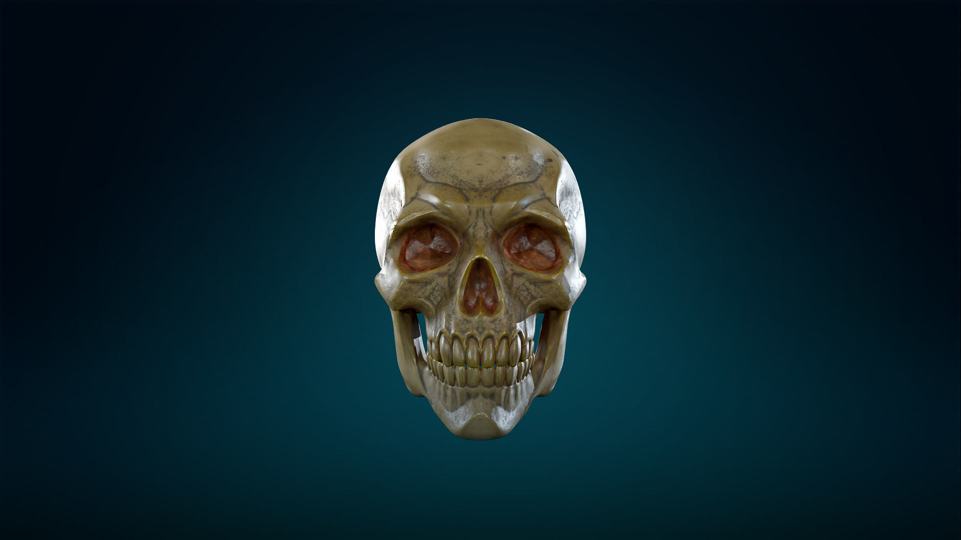 Human Skeleton Skull - Yellow - Lowpoly - Game Ready Low-poly 3D model_4