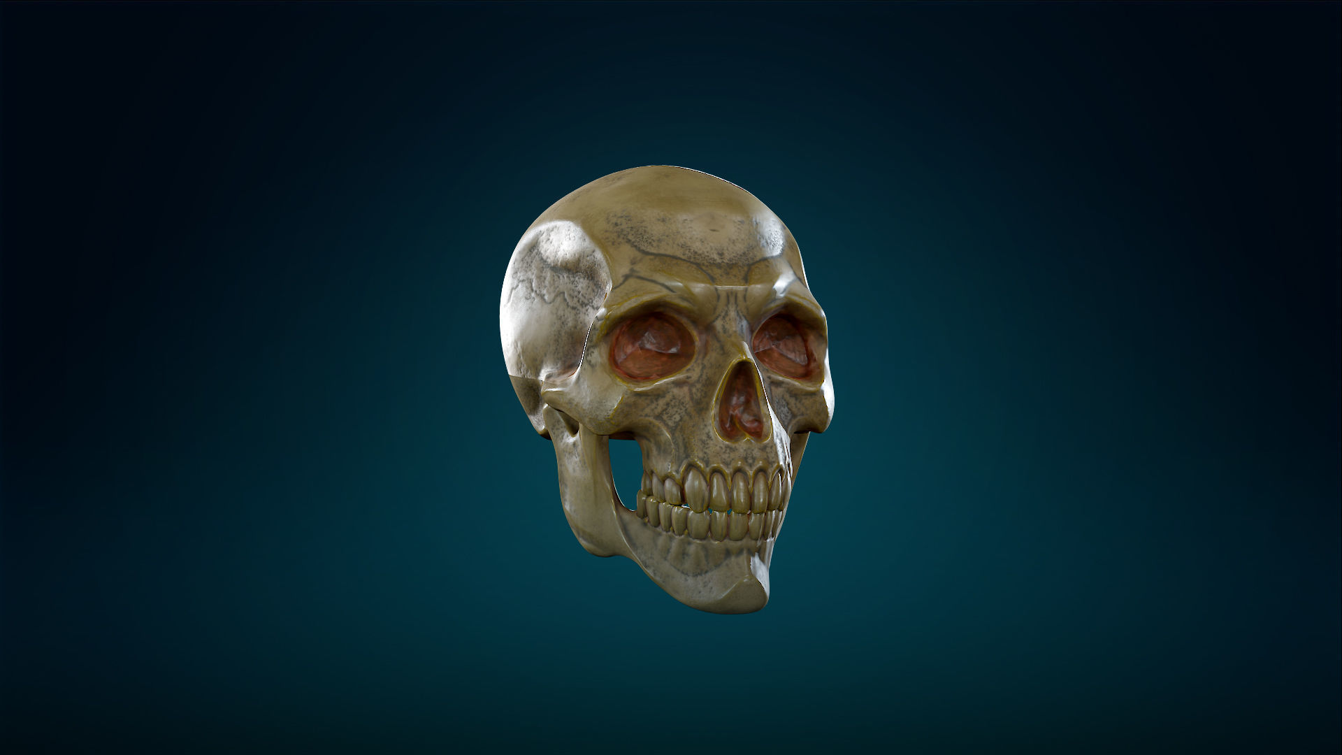 Human Skeleton Skull - Yellow - Lowpoly - Game Ready Low-poly 3D model_5
