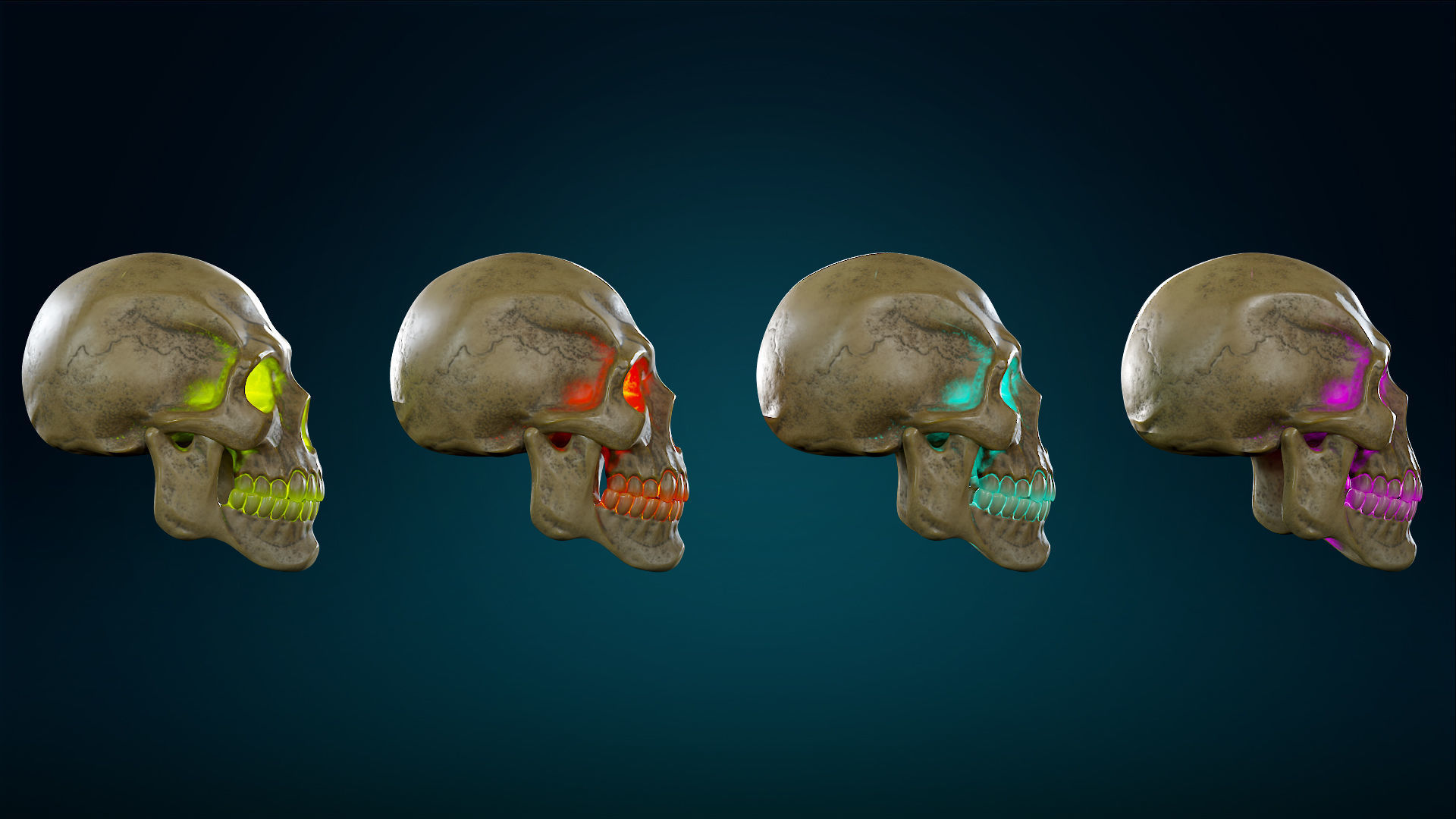 Human Skeleton Skull - Yellow - Lowpoly - Game Ready Low-poly 3D model_22