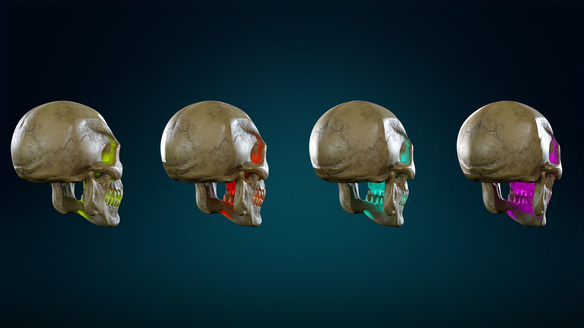Human Skeleton Skull - Yellow - Lowpoly - Game Ready Low-poly 3D model_23