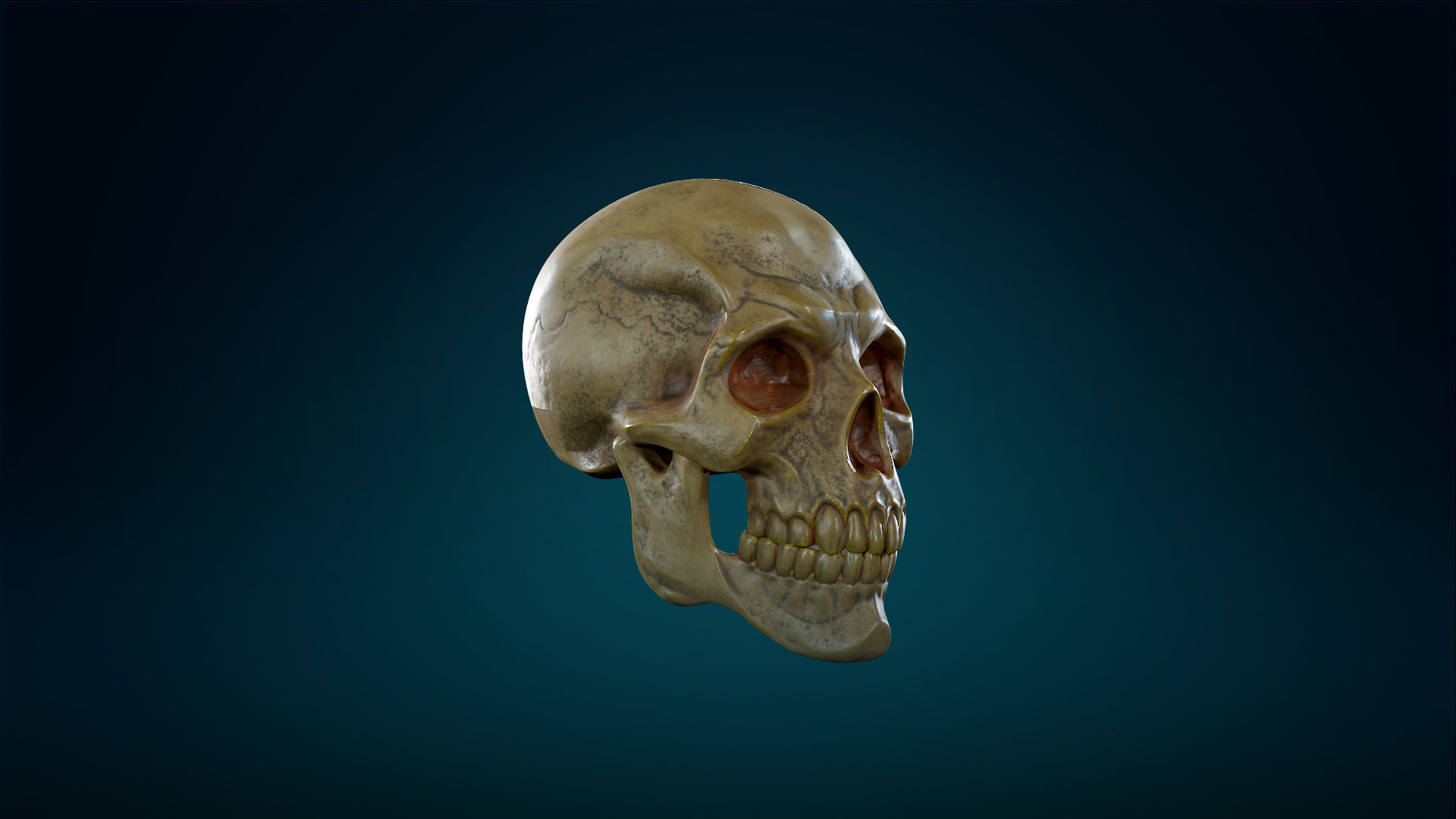 Human Skeleton Skull - Yellow - Lowpoly - Game Ready Low-poly 3D model_6