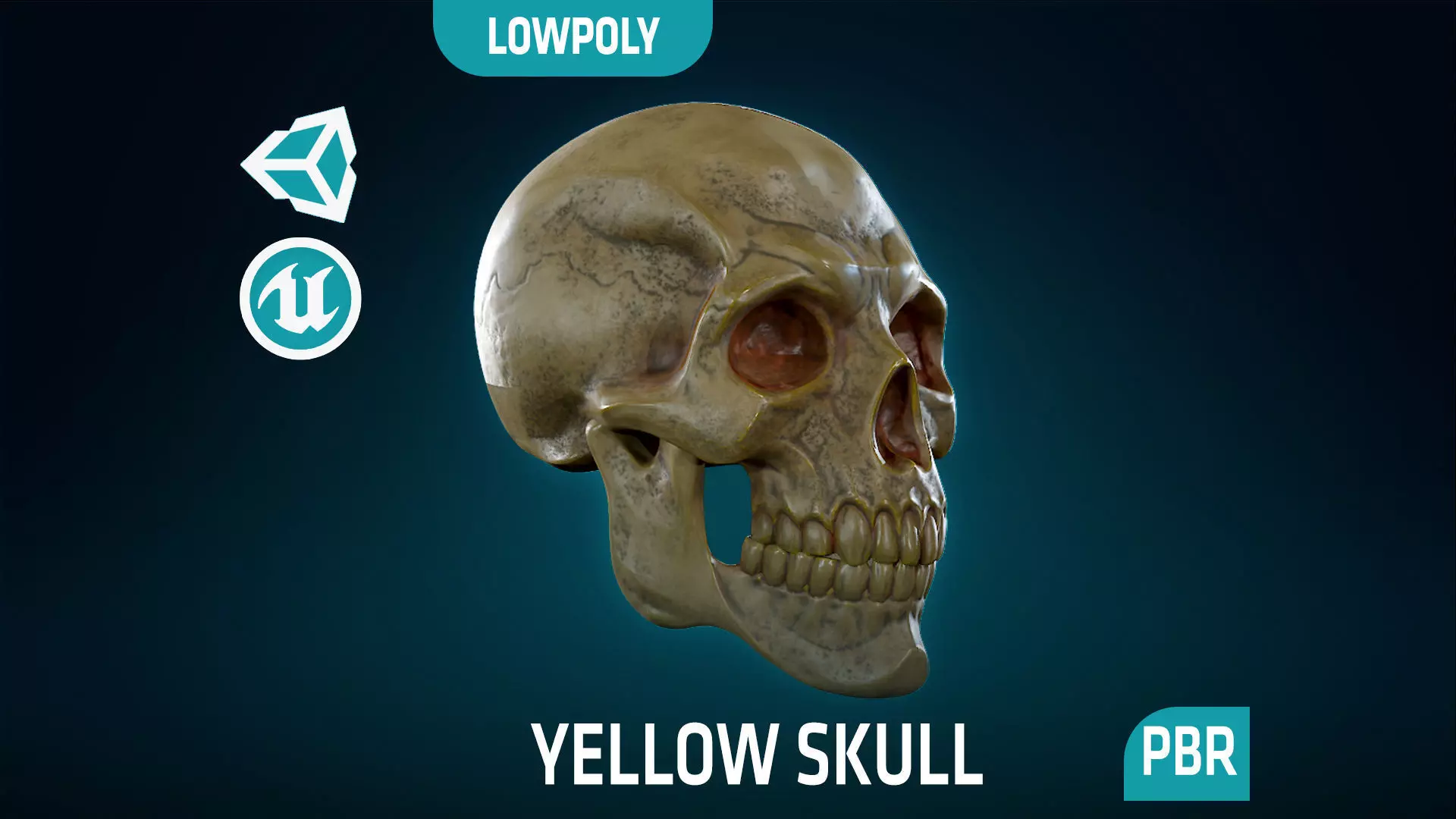 Human Skeleton Skull - Yellow - Lowpoly - Game Ready Low-poly 3D model_0
