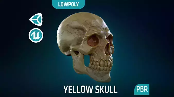 Human Skeleton Skull - Yellow - Lowpoly - Game Ready Low-poly 3D model