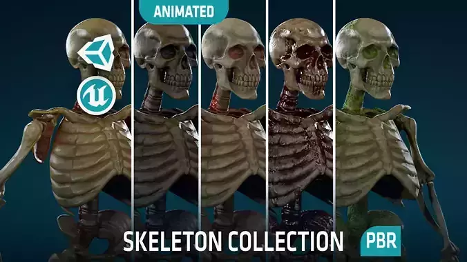 Humanoid Skeletons Undead Warriors - Game Ready - Collection 