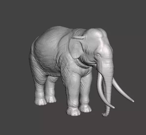 ASIAN INDIAN ELEPHANT FIGURE MODEL ANIMAL CREATURE WILDLIFE 3D print model