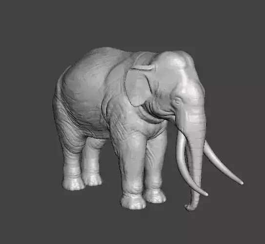 ASIAN INDIAN ELEPHANT FIGURE MODEL ANIMAL CREATURE WILDLIFE