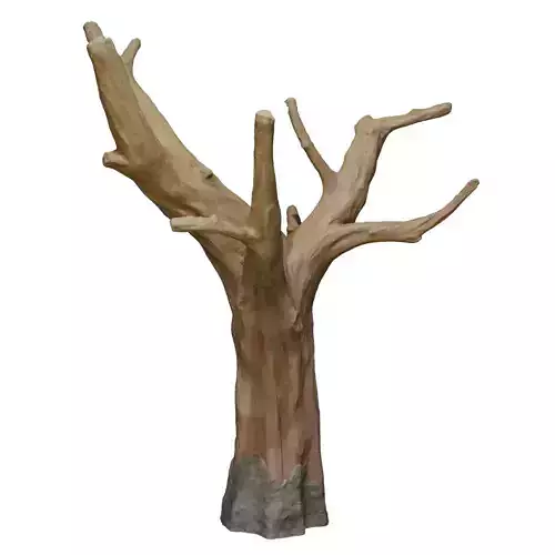 Tree Sculpture