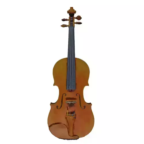  Violin