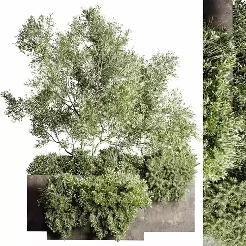 Concrete box plants on stand - set outdoor plant 182 Low-poly 3D model