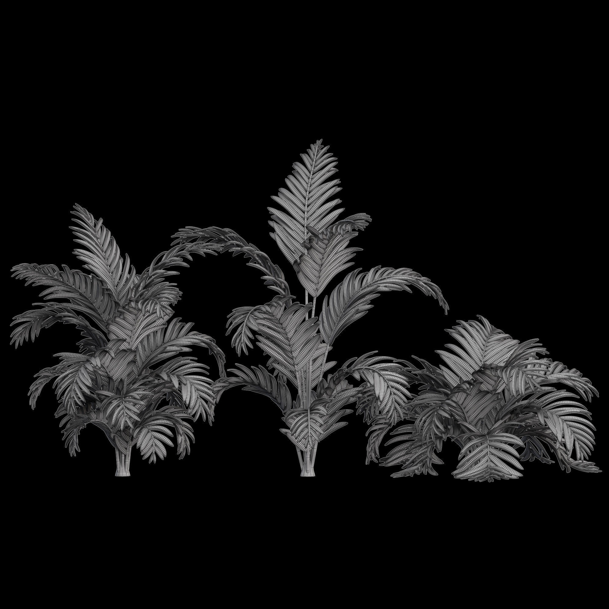 3dprint Plant 02 Palm 3D print model_6