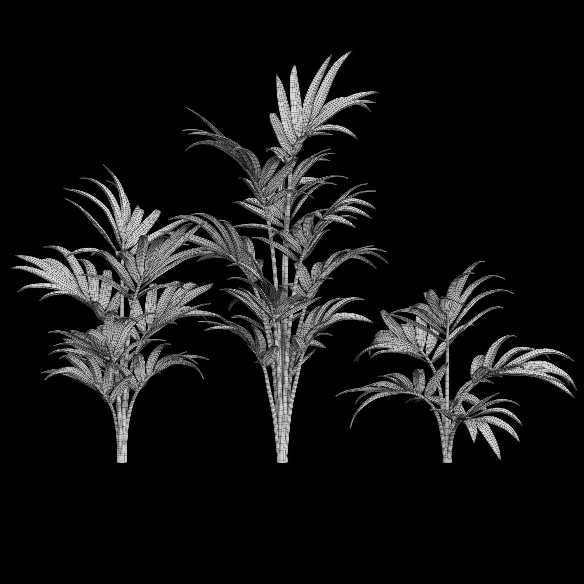3dprint Plant 04 Kentia 3D print model_6