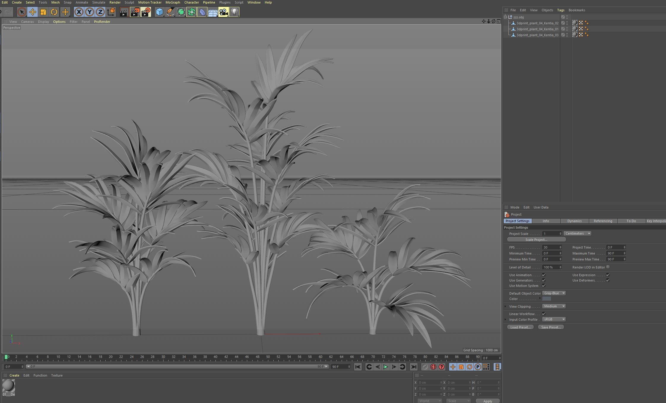 3dprint Plant 04 Kentia 3D print model_9