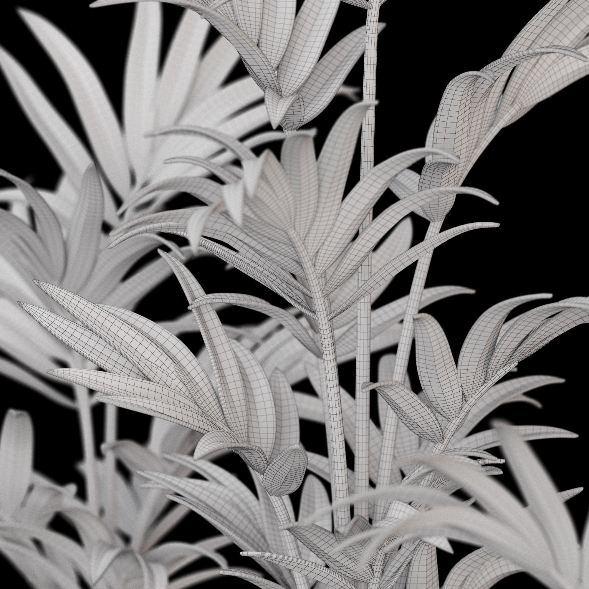 3dprint Plant 04 Kentia 3D print model_7