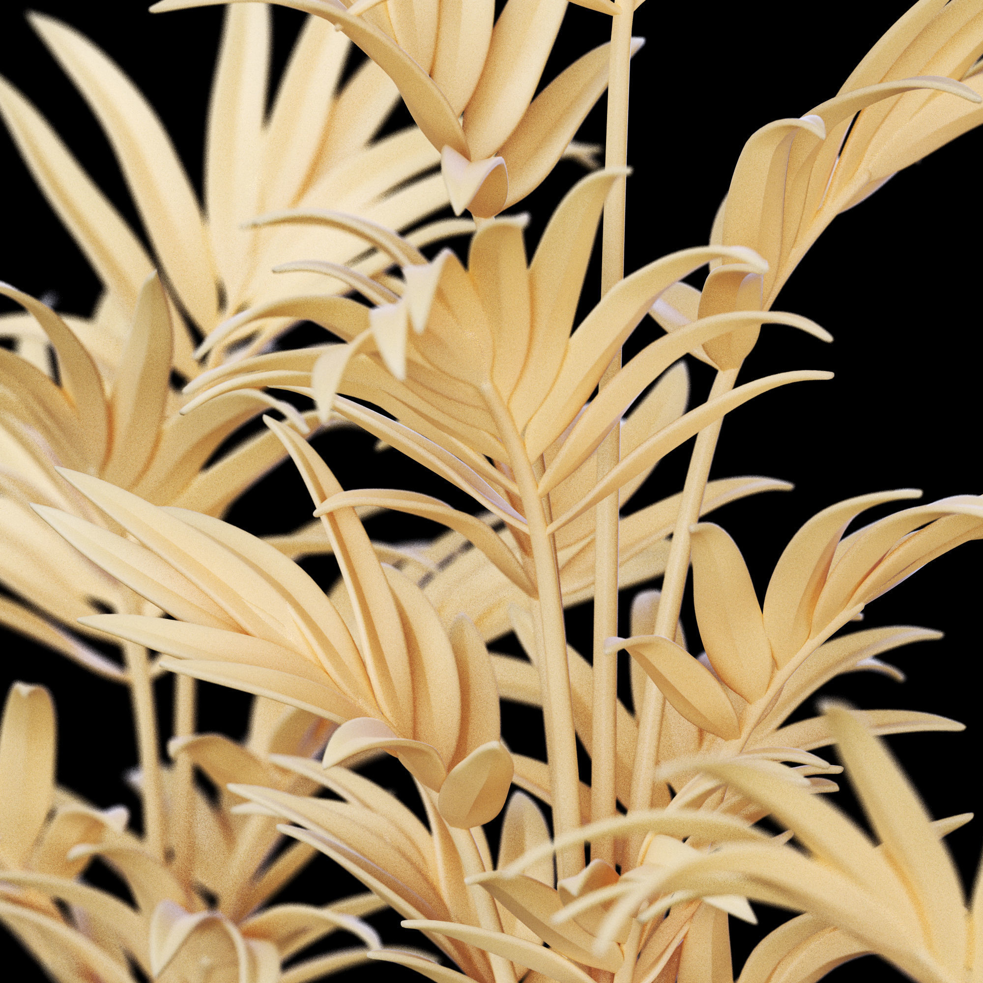 3dprint Plant 04 Kentia 3D print model_5