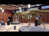 VR GALLERY - THEATRE - GAME ROOM - VR and Game READY Low-poly 3D model_1